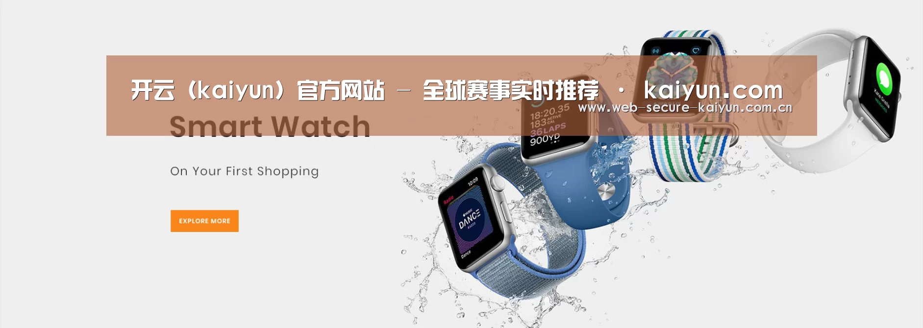 某某网络科技有限公司