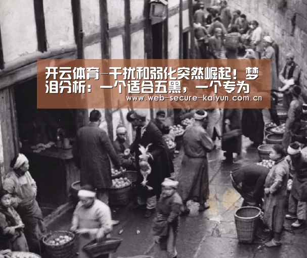 开云体育-干扰和弱化突然崛起!梦泪分析:一个适合五黑,一个专为老夫子准备(图1) 开云体育