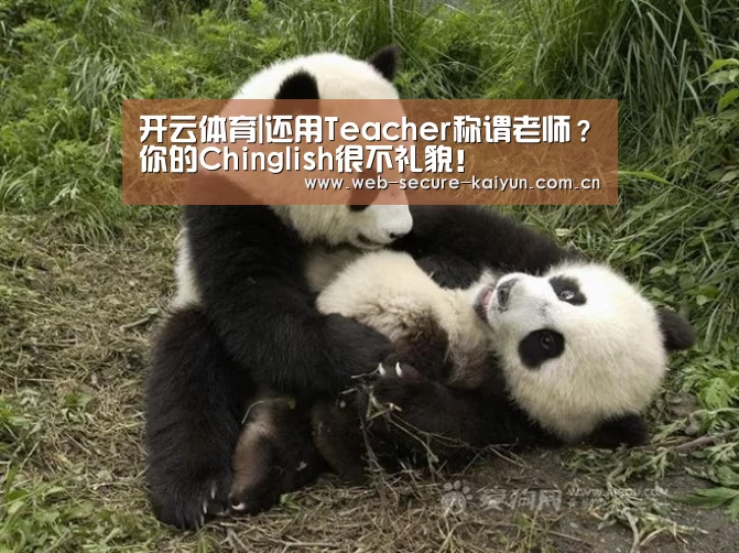 开云体育|还用Teacher称谓老师?你的Chinglish很不礼貌!(图2) 开云体育