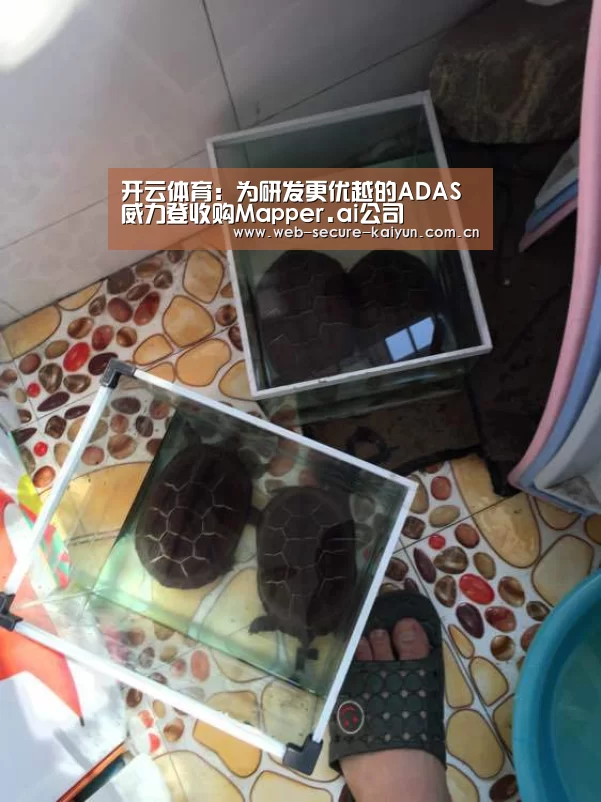 开云体育:为研发更优越的ADAS威力登收购Mapper.ai公司(图2) 开云体育