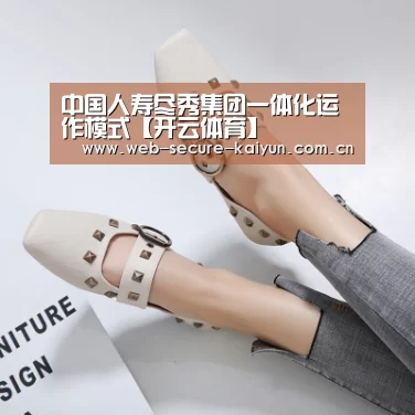 中国人寿尽秀集团一体化运作模式【开云体育】(图3) 开云体育