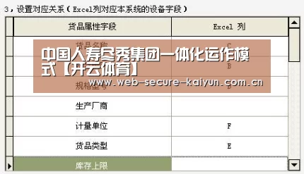 中国人寿尽秀集团一体化运作模式【开云体育】(图2) 开云体育