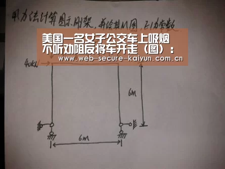 美国一名女子公交车上吸烟 不听劝阻反将车开走(图):开云体育(图1) 开云体育